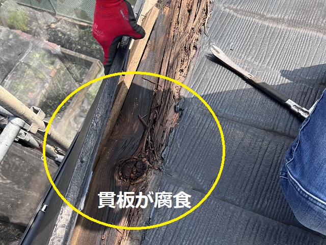 貫板　腐食